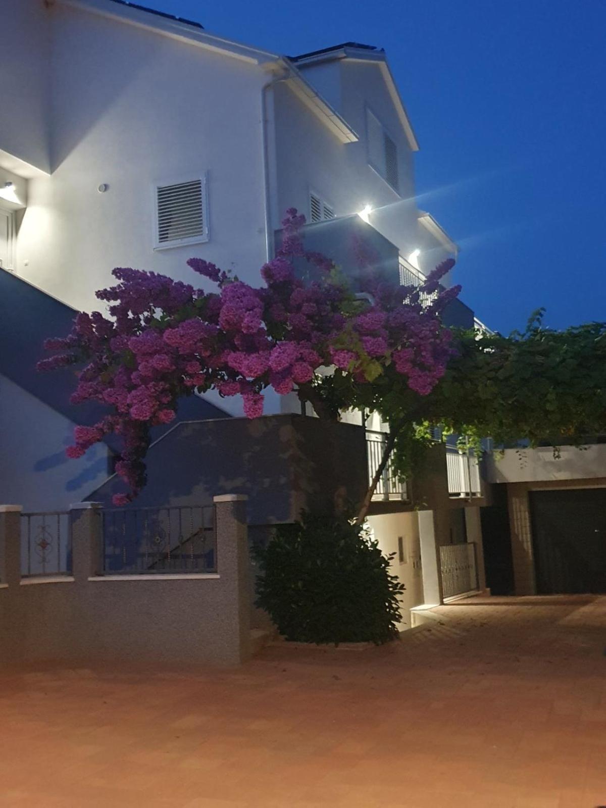 Apartment Bozovic Orebić Buitenkant foto